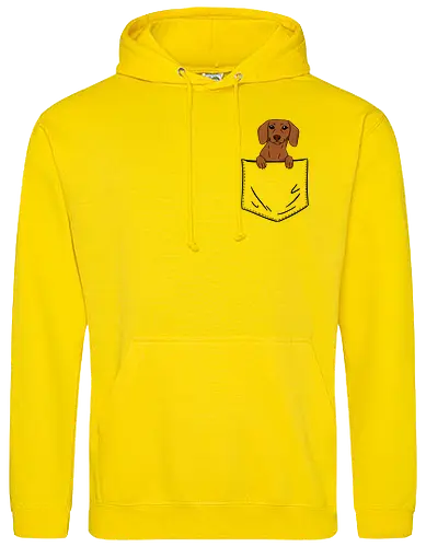 Dachshund in my pocket