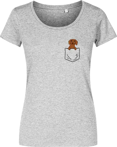 Dachshund in my pocket