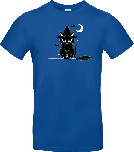 Black Kitty witch
