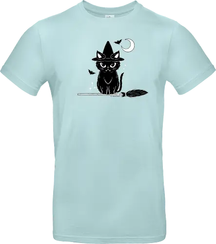 Black Kitty witch