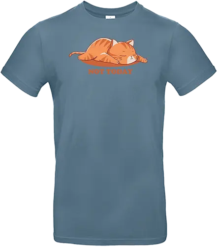 Not today - cat, sleepy, Demotivated - Standard T-Shirt