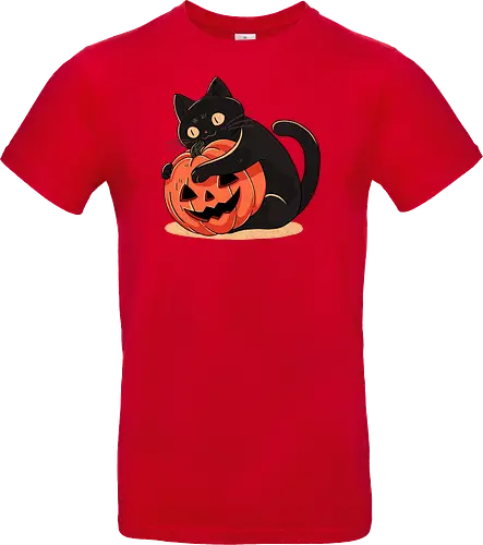 Pumpkin Embrace Cat