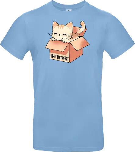 Introvert cat