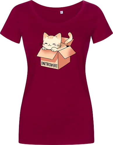 Introvert cat