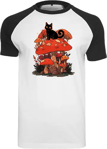 Feline Fungi