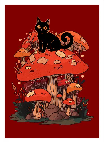 Feline Fungi