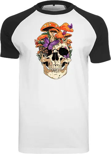 Eternal Fungi