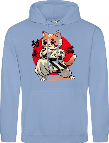 Kung fu cat