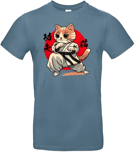 Kung fu cat - kung fu, cat, katze - Standard T-Shirt