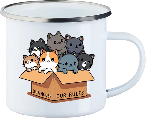 Our house our rules