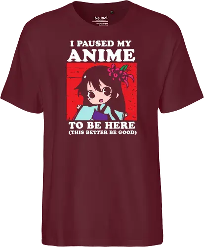 I paused my anime