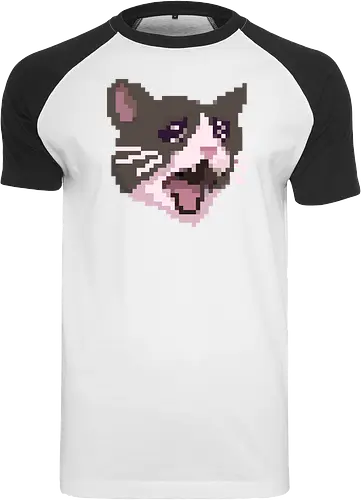 Pixel Angry Cat