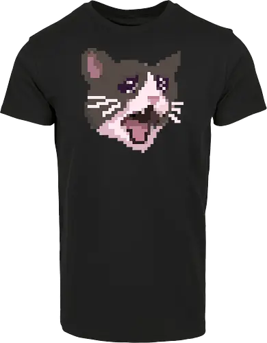 Pixel Angry Cat