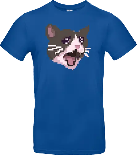 Pixel Angry Cat