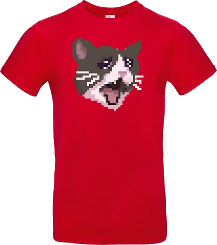 Pixel Angry Cat