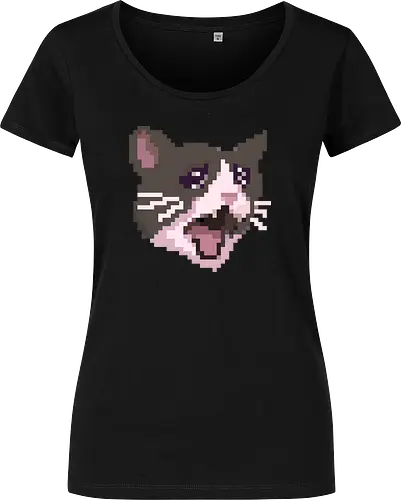 Pixel Angry Cat