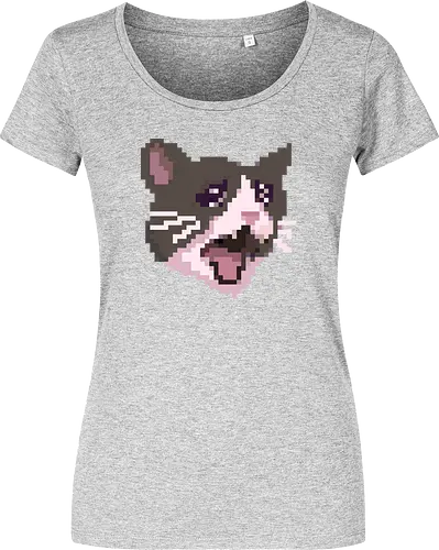 Pixel Angry Cat
