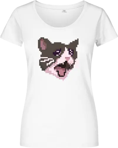 Pixel Angry Cat