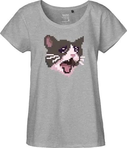 Pixel Angry Cat