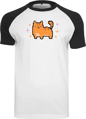 Pixel Cat