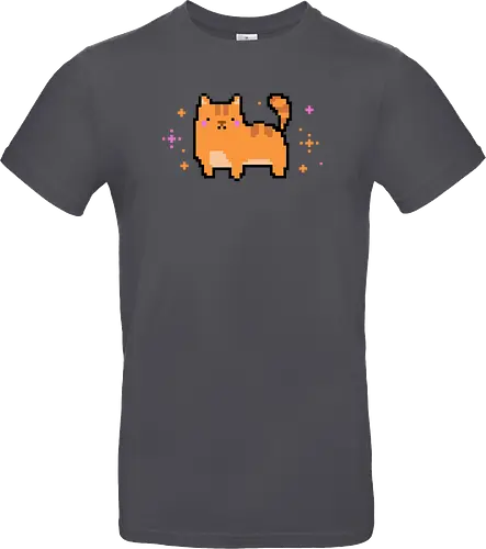 Pixel Cat