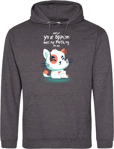 Your opinon means nothing