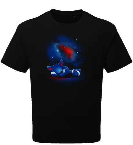 Space Raccoon