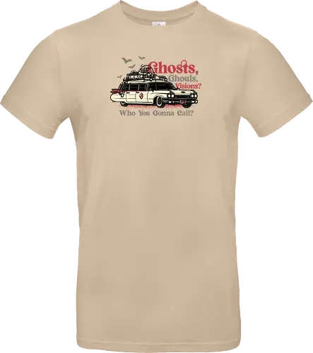 Who You Gonna Call?