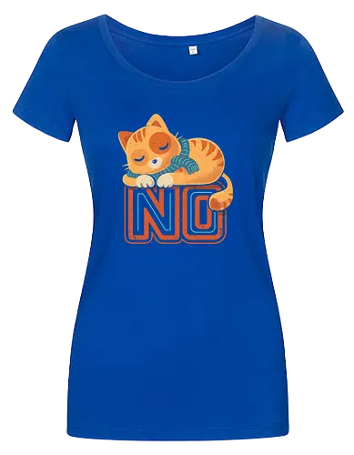 No Means No - Cute Sleeping Cat