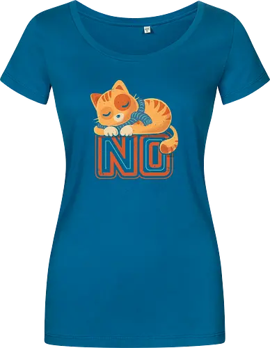 No Means No - Cute Sleeping Cat