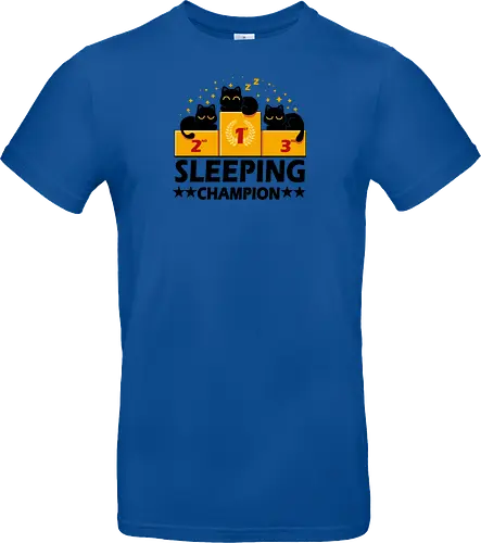 Sleeping Champion