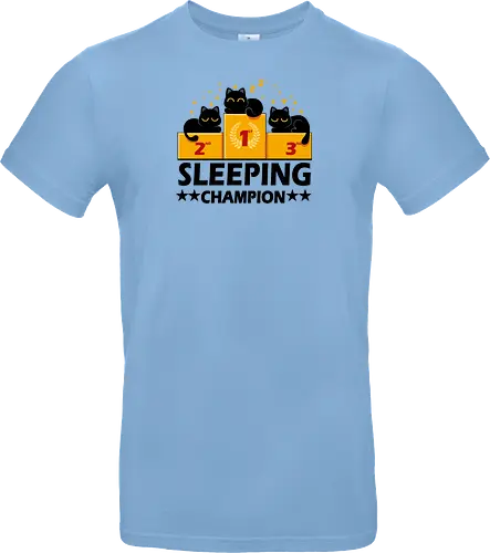 Sleeping Champion