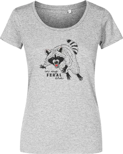 Feral Raccoon