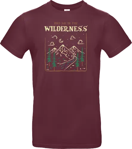 Find Me In The Wilderness