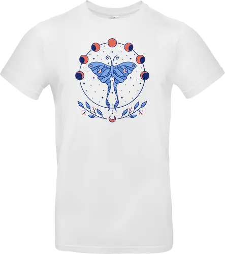 Luna Moth & Moon Phases