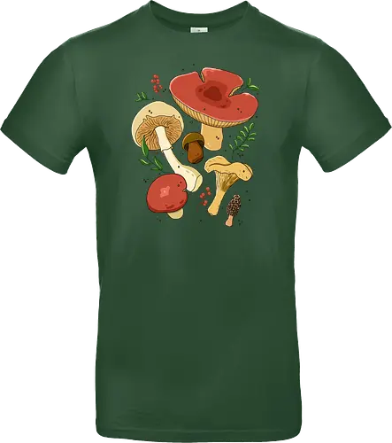 Mushrooms Botanical