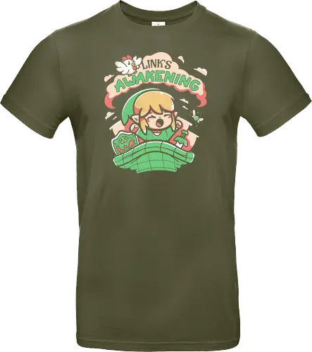 Hero of Time's Awakening