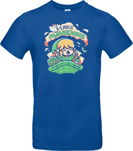 Hero of Time's Awakening