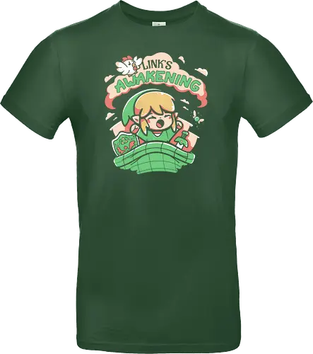Hero of Time's Awakening
