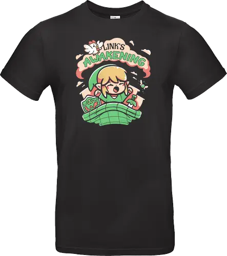 Hero of Time's Awakening