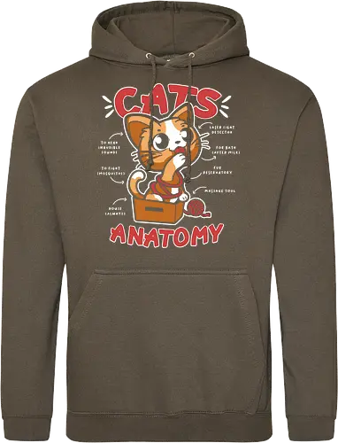 Cats Anatomy