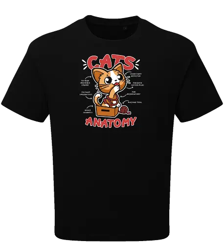 Cats Anatomy