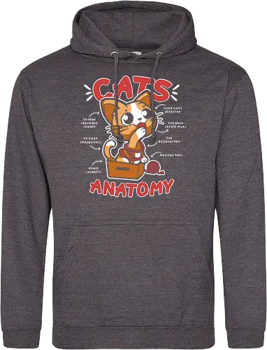 Cats Anatomy