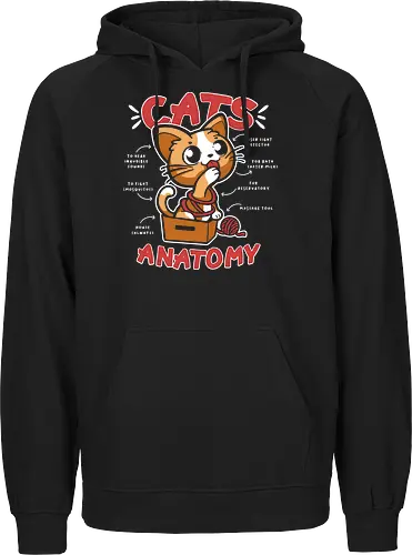 Cats Anatomy