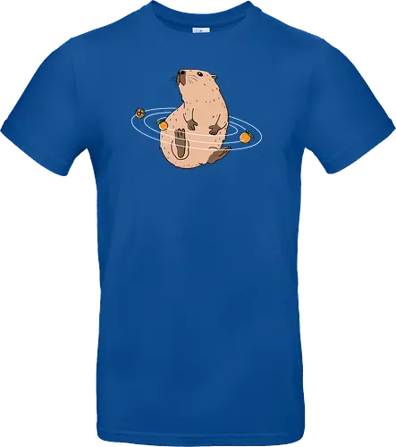 Capy Solar System