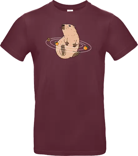 Capy Solar System