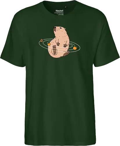 Capy Solar System