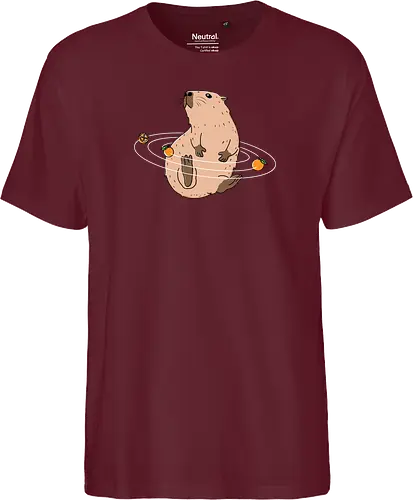 Capy Solar System