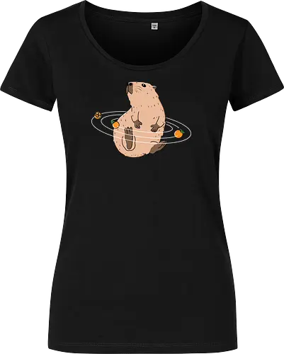 Capy Solar System