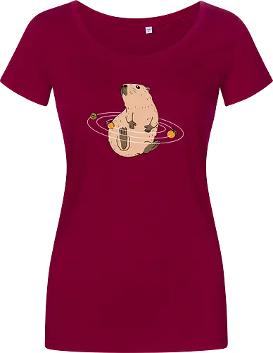 Capy Solar System